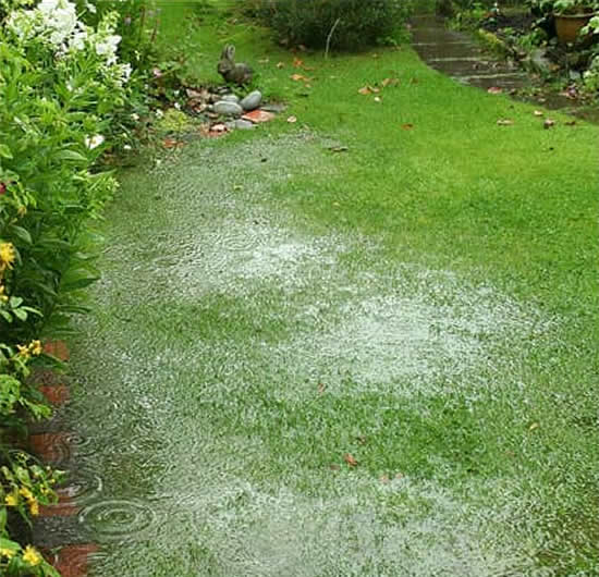 Professional Storm Water Management Solutions Chester Springs, Glenmoore, Exton, Downingtown. Offering Lawn Care & Landscape Services for Chester Springs, Eagleview and Exton Pennsylvania