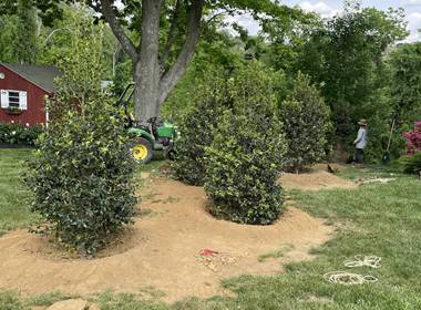 planting-projects-001